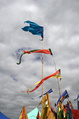 ORF2009.jpg