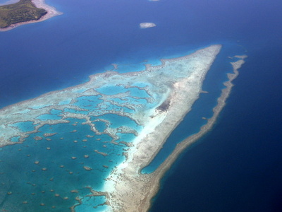 Fiji-CoralReef1