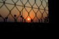 Iraq-Baghdad-DawnStrollToWork