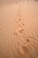 UAE-DesertSands