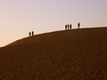 Big Beautiful Dune