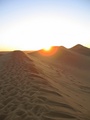 Dune Sunset
