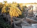 Ghadames - Looking At Farming Methods